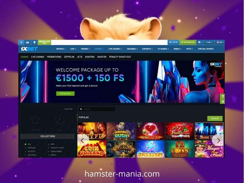 Play Hamster for money at 1Xbet Casino