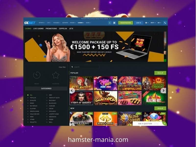 Information about 1Xbet casino