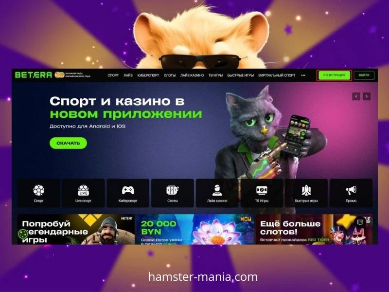 Играйте в Hamster на деньги в казино Betera