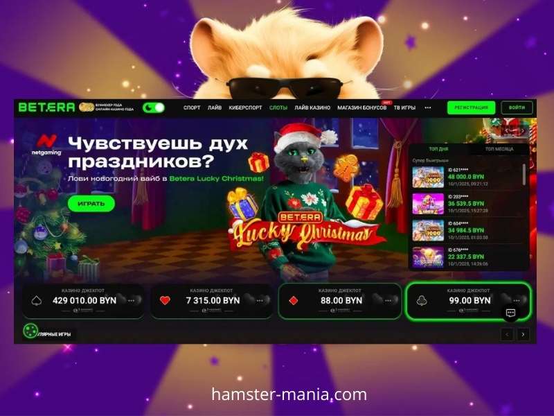 Информация о Betera казино