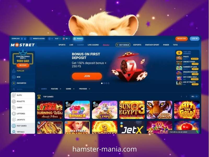 Juega a Hamster con dinero en Mostbet Casino