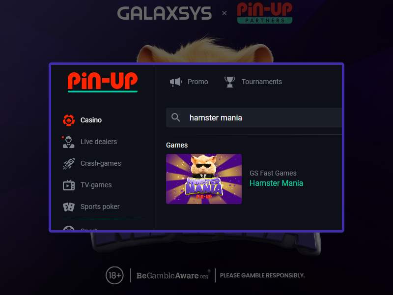 Comment commencer à jouer à Hamster au Pin-Up Casino