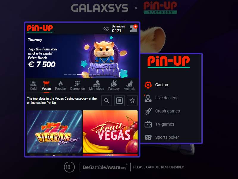 Types de jeux sur Pin Up Casino