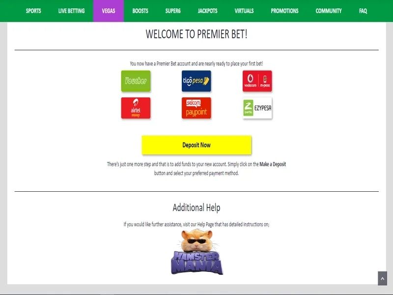 Внесение депозита в Premier Bet казино